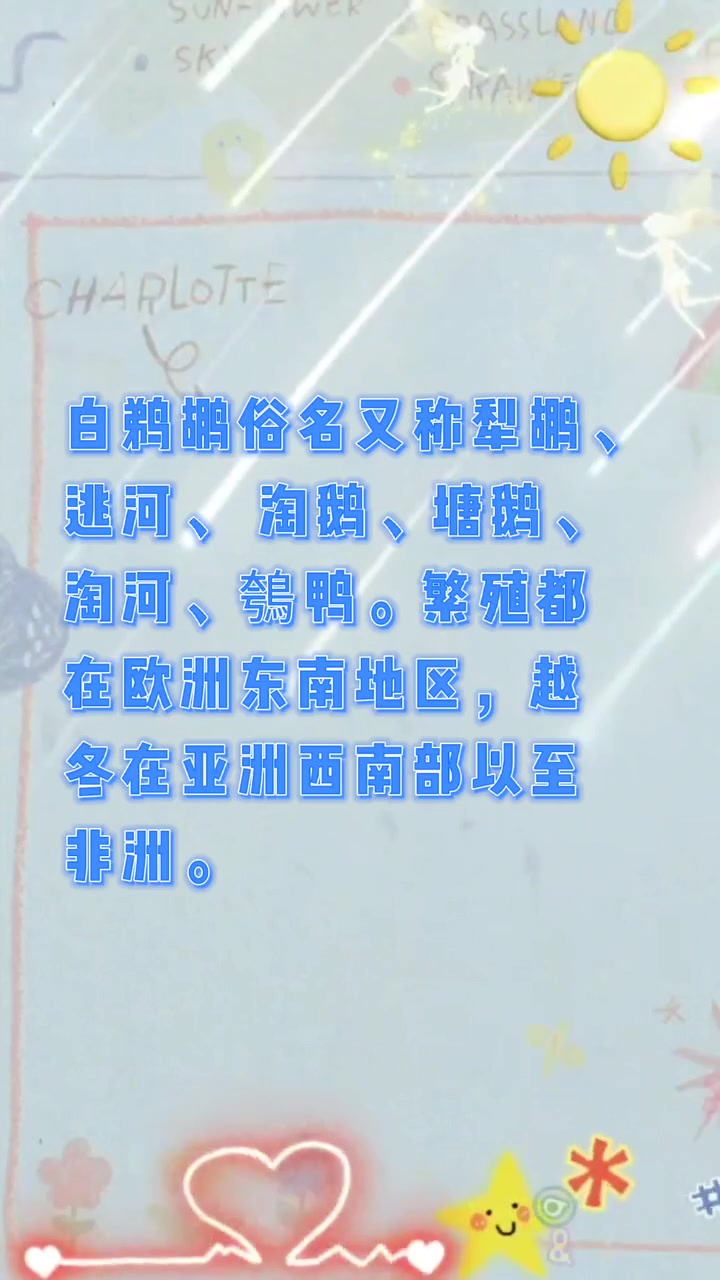 白鹈鹕的读音?我们一起学习