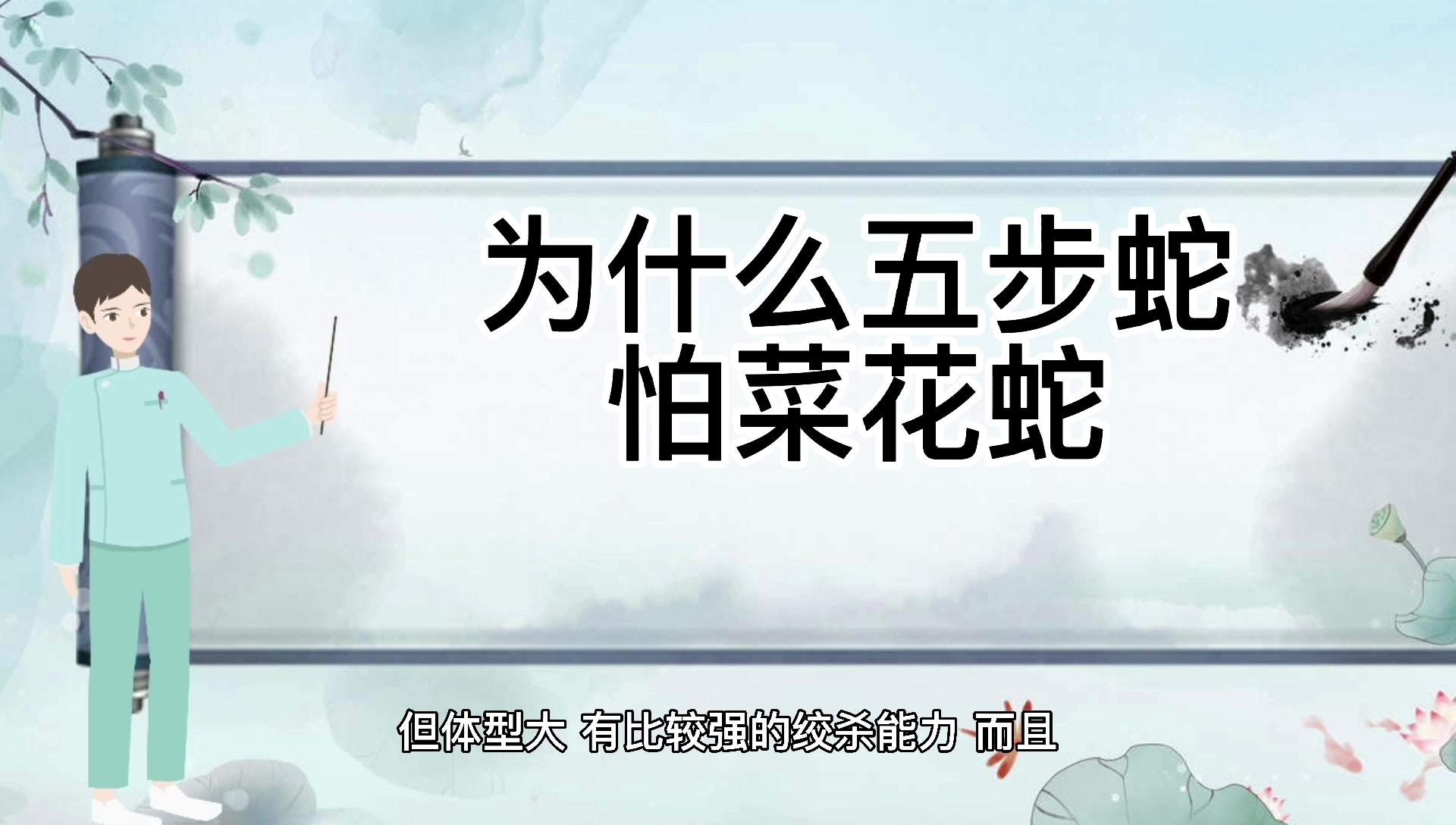 为什么五步蛇怕菜花蛇