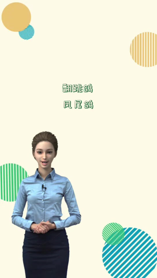 鸽子品种排名。。。。