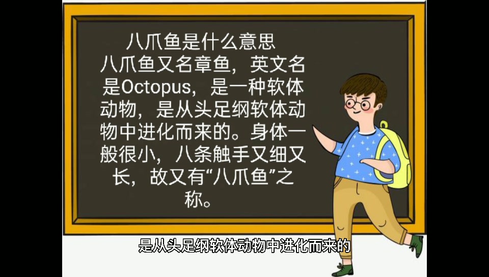 八爪鱼是什么意思?
