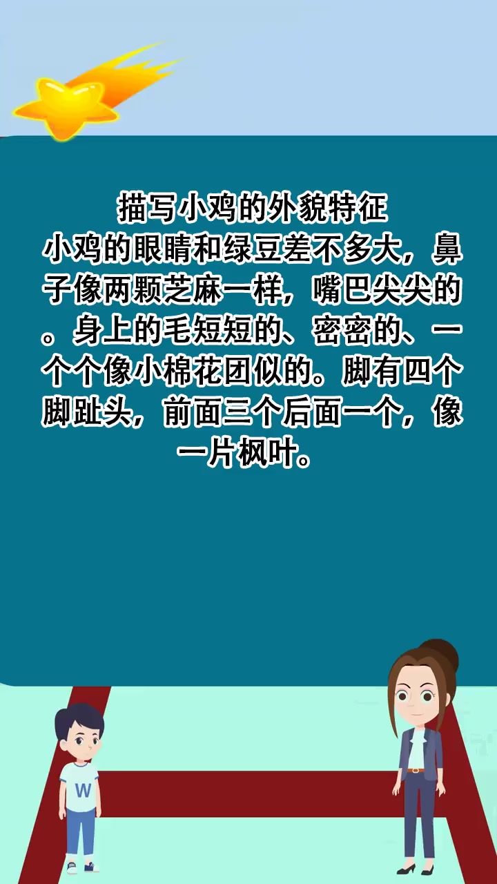 描写小鸡的外貌特征 