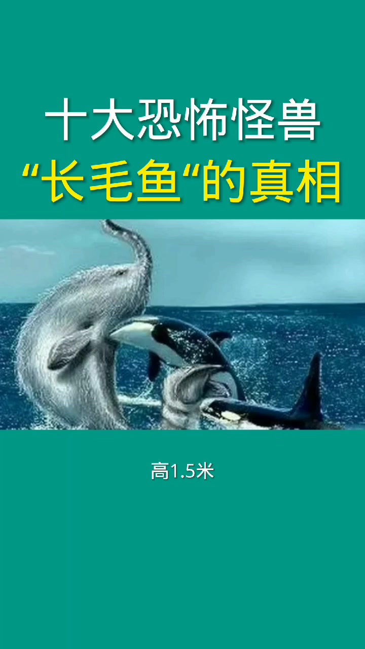 十大恐怖怪兽长毛鱼的真相