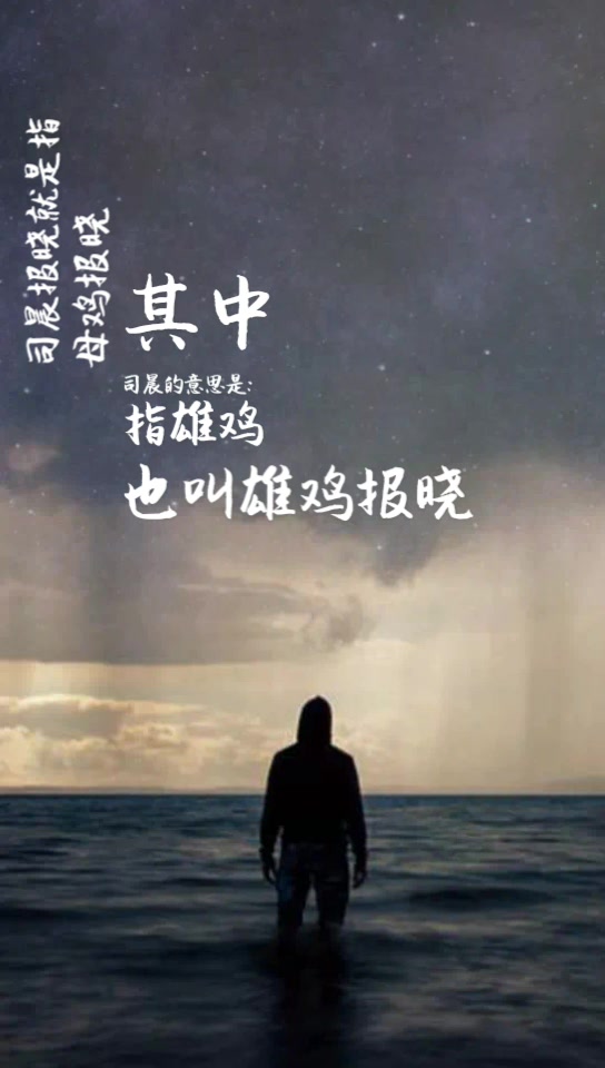 司晨报晓是什么意思