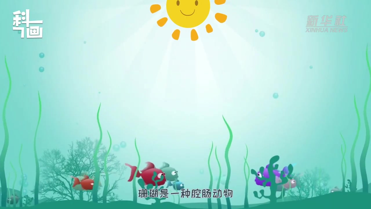 【珊瑚是植物还是动物?不要反复横跳了,它居然是……!】珊瑚,珊瑚礁,傻傻分不清楚? 