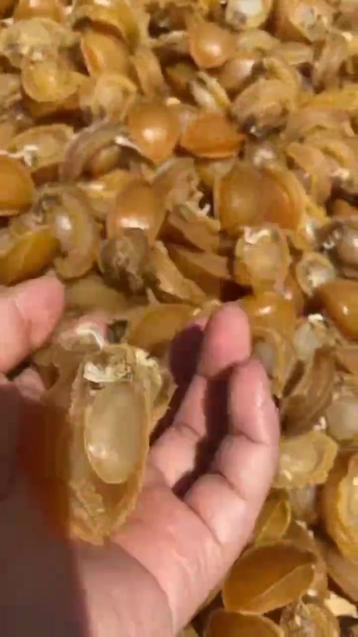 黄金鲍鱼干,煲上一锅瘦肉汤或是乌鸡汤一家人享用也是不错的选择