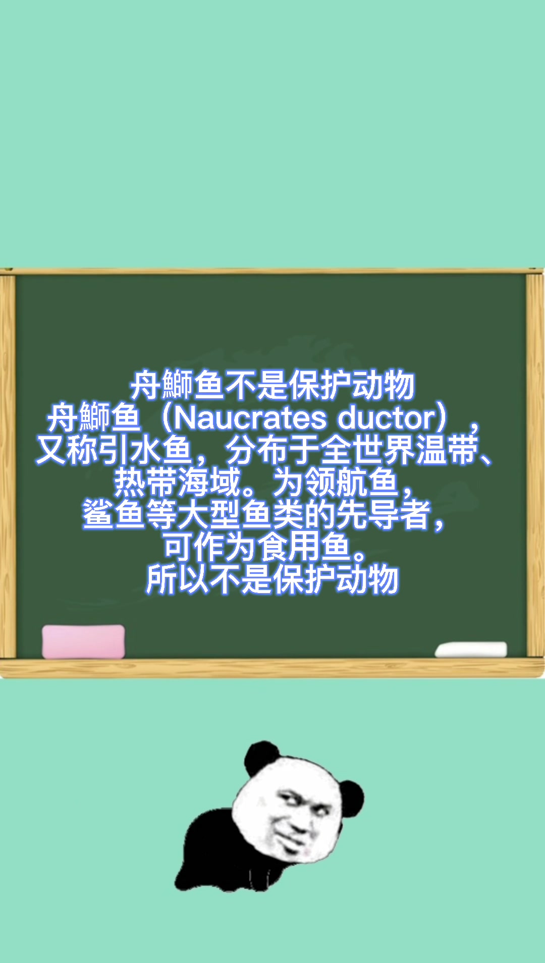 舟鰤鱼是保护动物吗