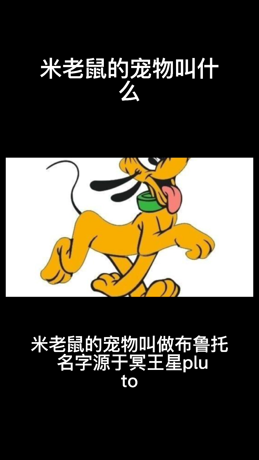 米老鼠的宠物叫什么