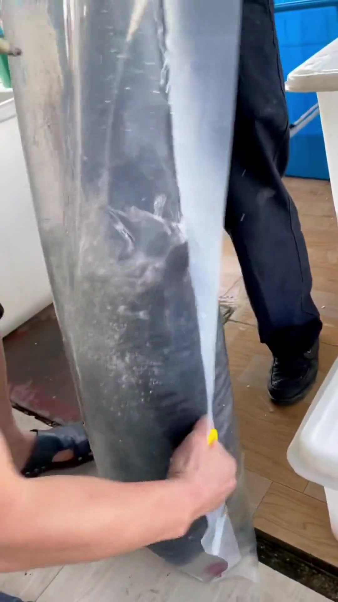 1800一条的千岛湖大鱼,供不应求,你们觉得值这个价钱吗?