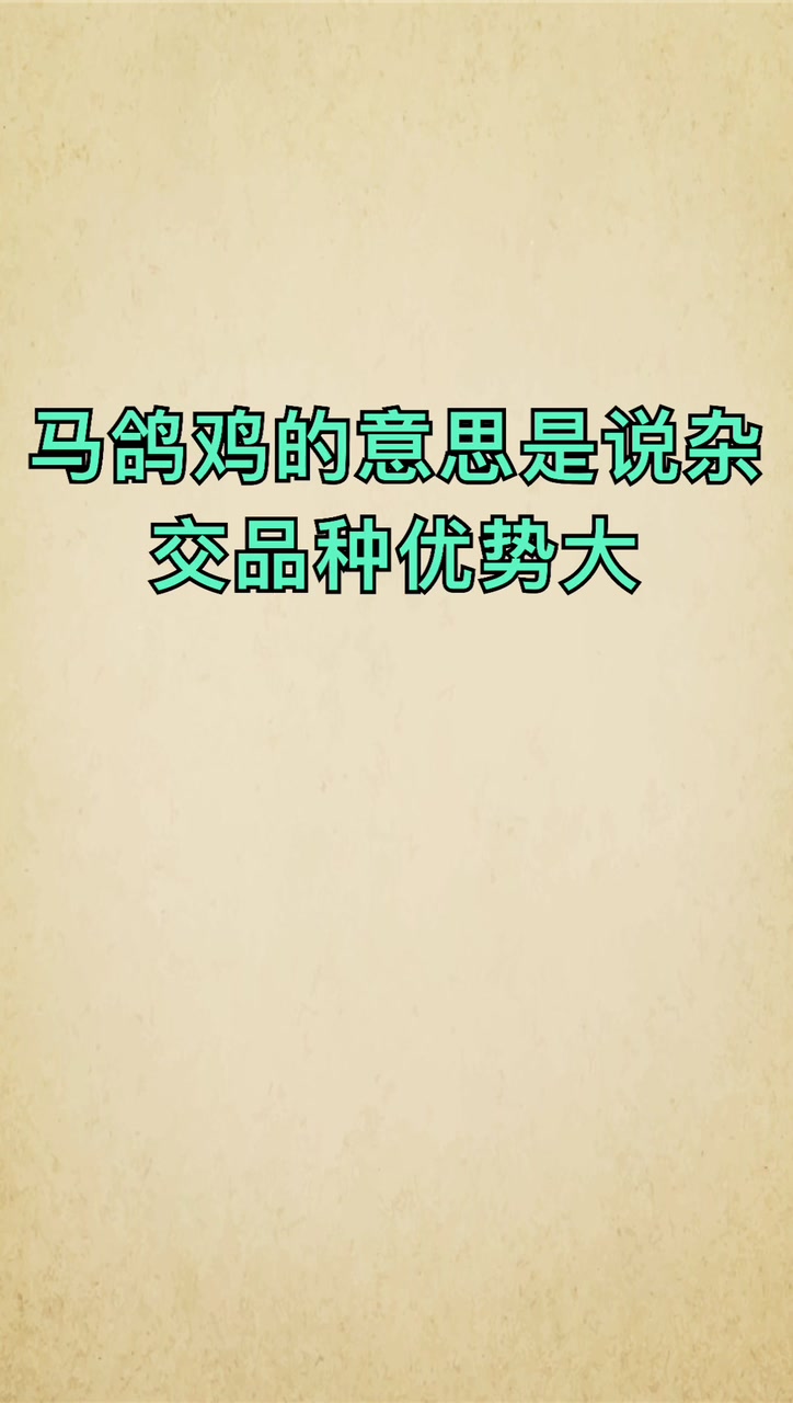 我来告诉你马鸽鸡是什么意思