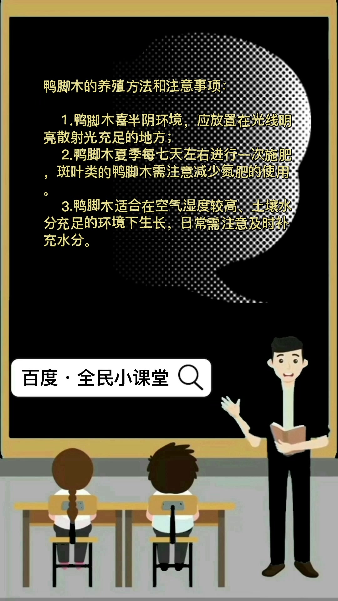 鸭脚木的养殖方法和注意事项