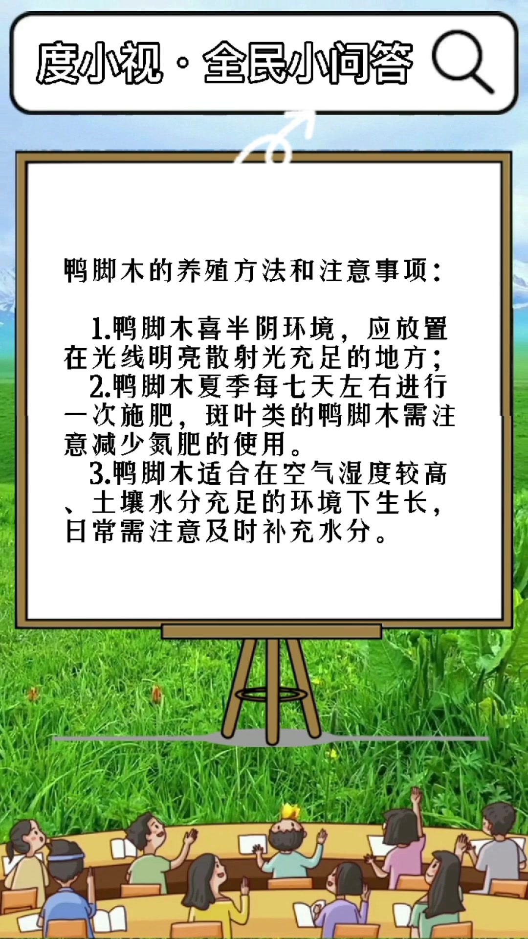 鸭脚木的养殖方法和注意事项