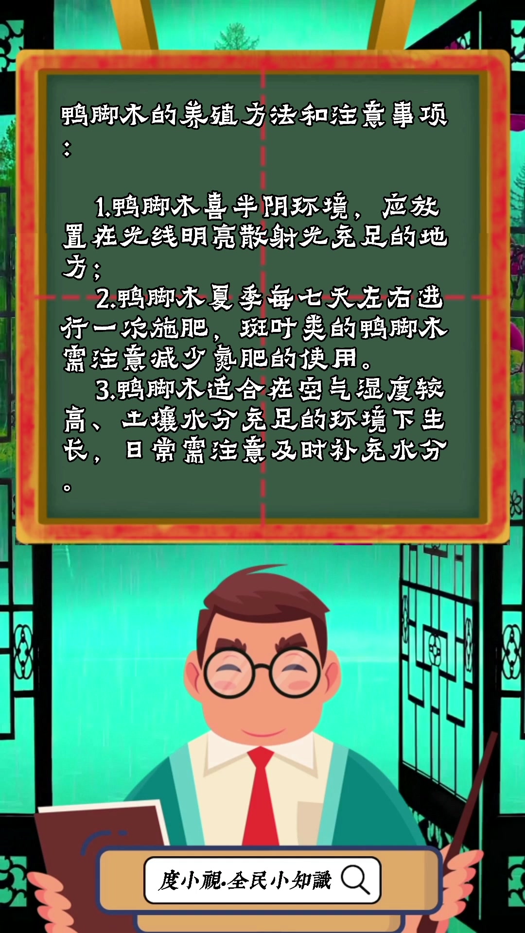 鸭脚木的养殖方法和注意事项
