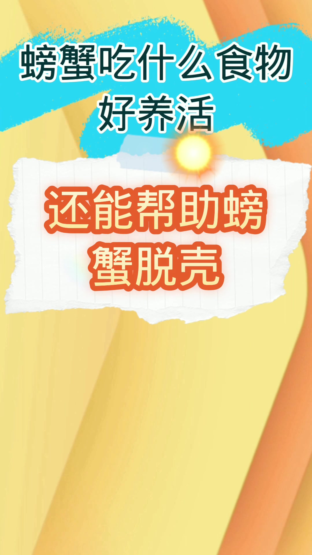 螃蟹吃什么食物好养活?