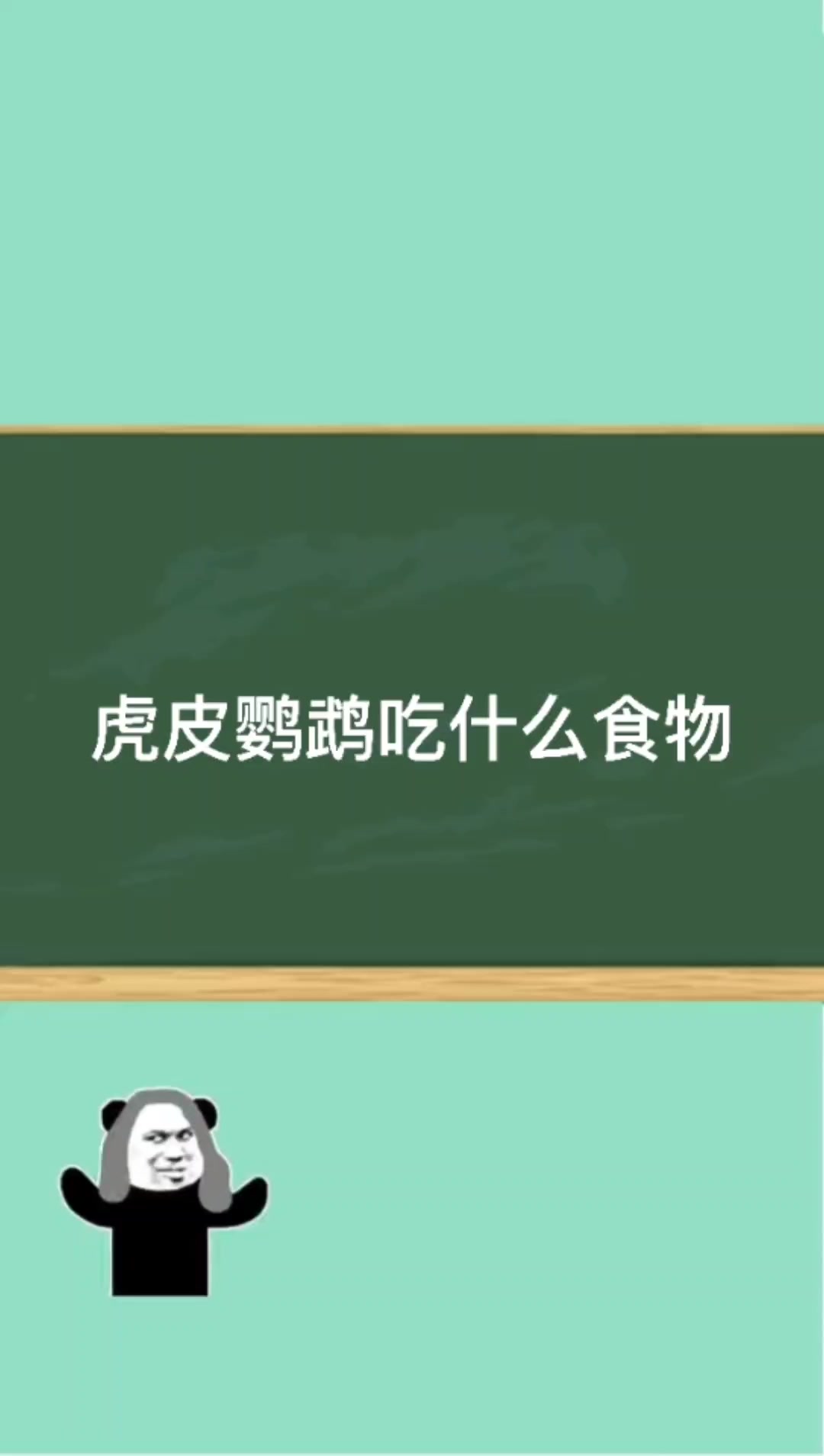 虎皮鹦鹉吃什么食物