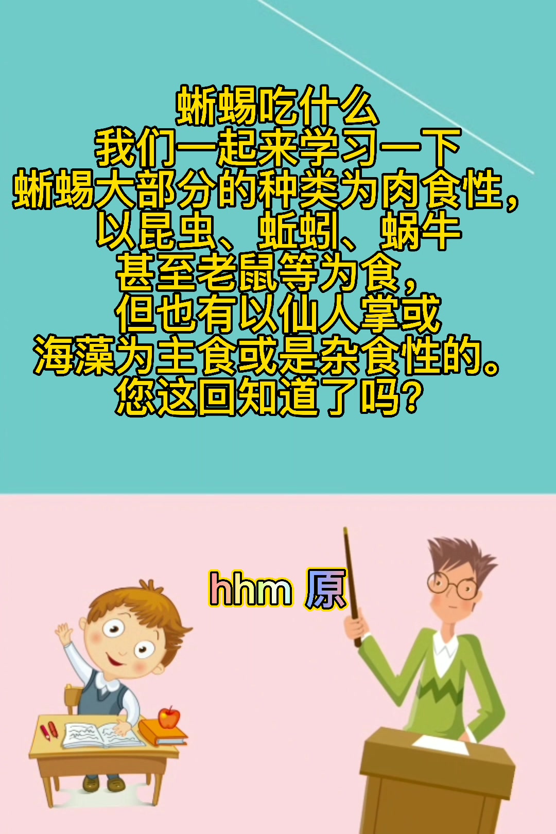 蜥蜴吃什么?  