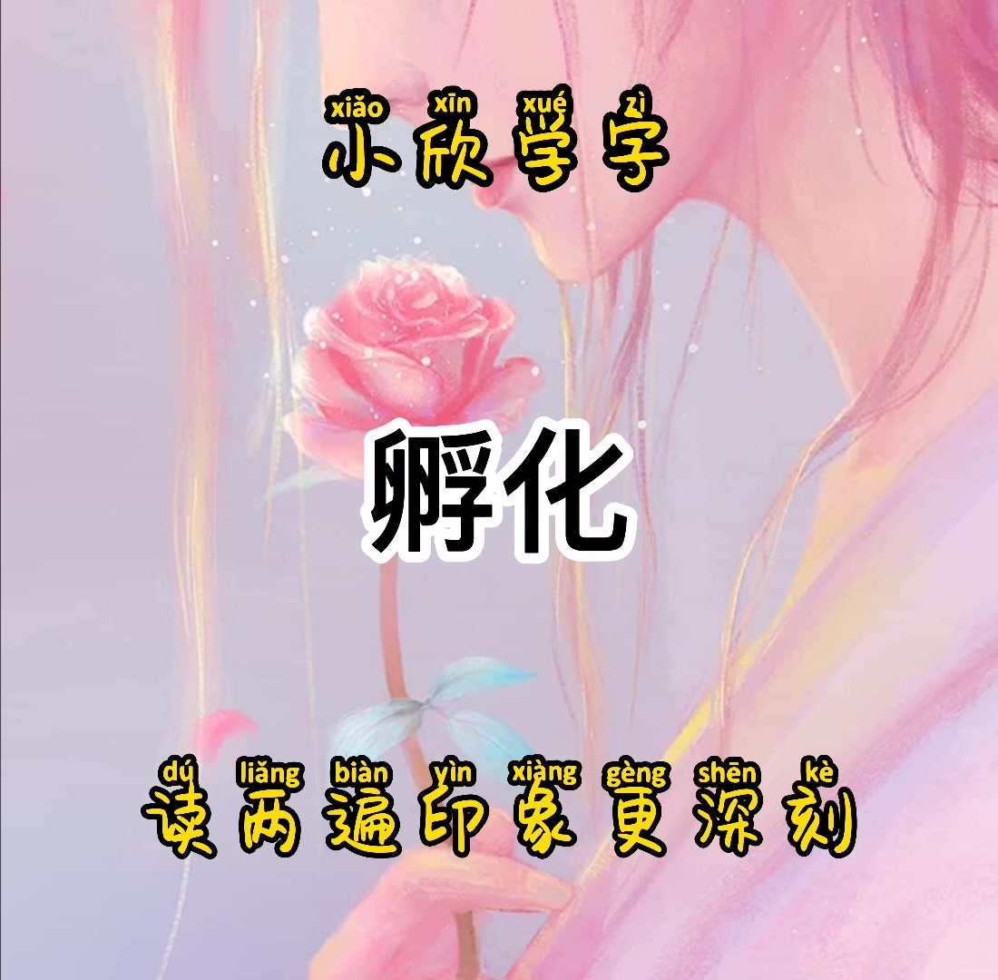 孵化的拼音    