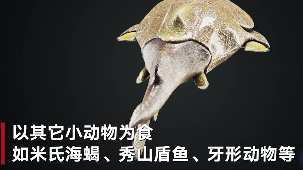 【重庆秀山发现志留纪袖珍边城鱼:体长仅4厘米 或系凶猛掠食者】6月21日,据中科院古脊椎动