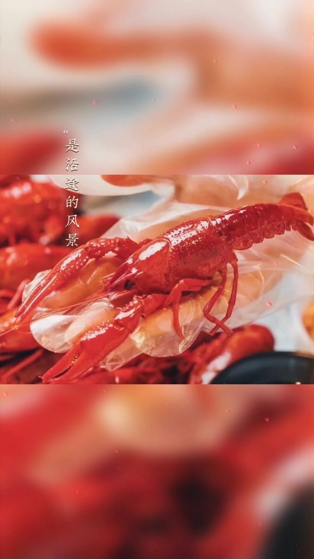 武汉肥肥虾庄小龙虾