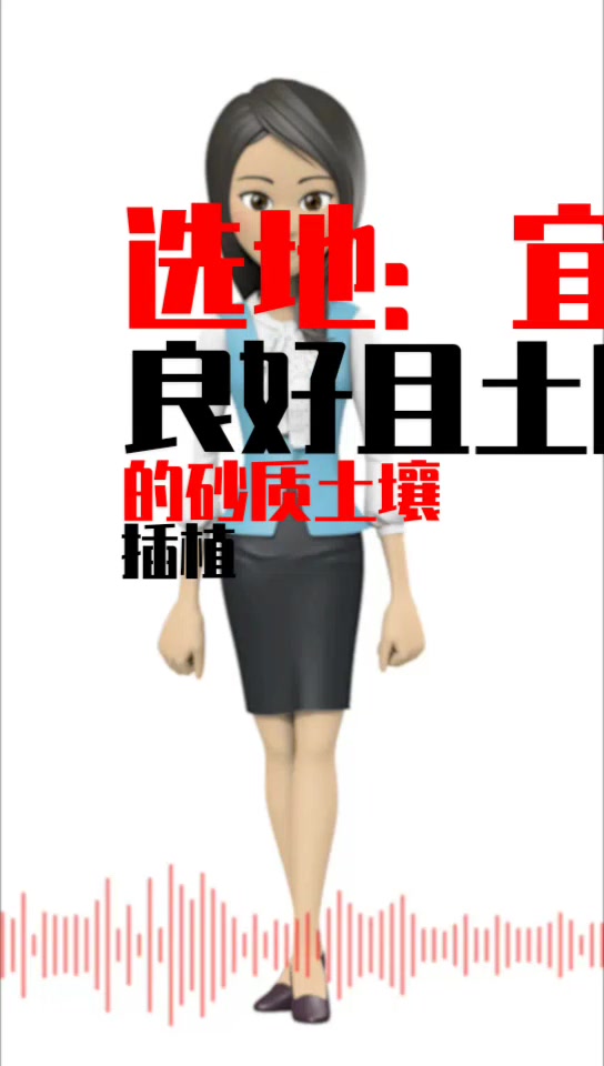 仙人球的养殖方法和注意事项