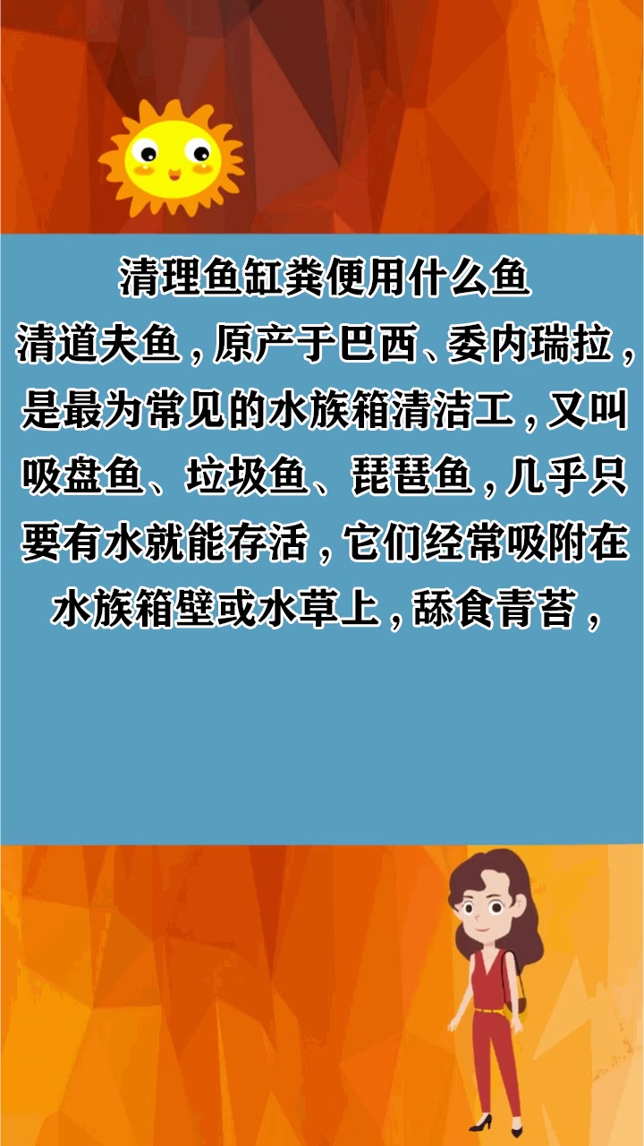 清理鱼缸粪便用什么鱼