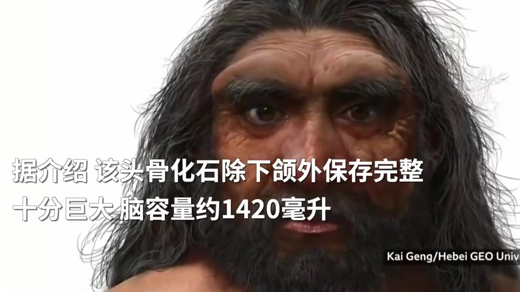 【哈尔滨发现14.6万年前新人种】6月26日,以河北地质大学特聘教授季强为首的国际古人类研