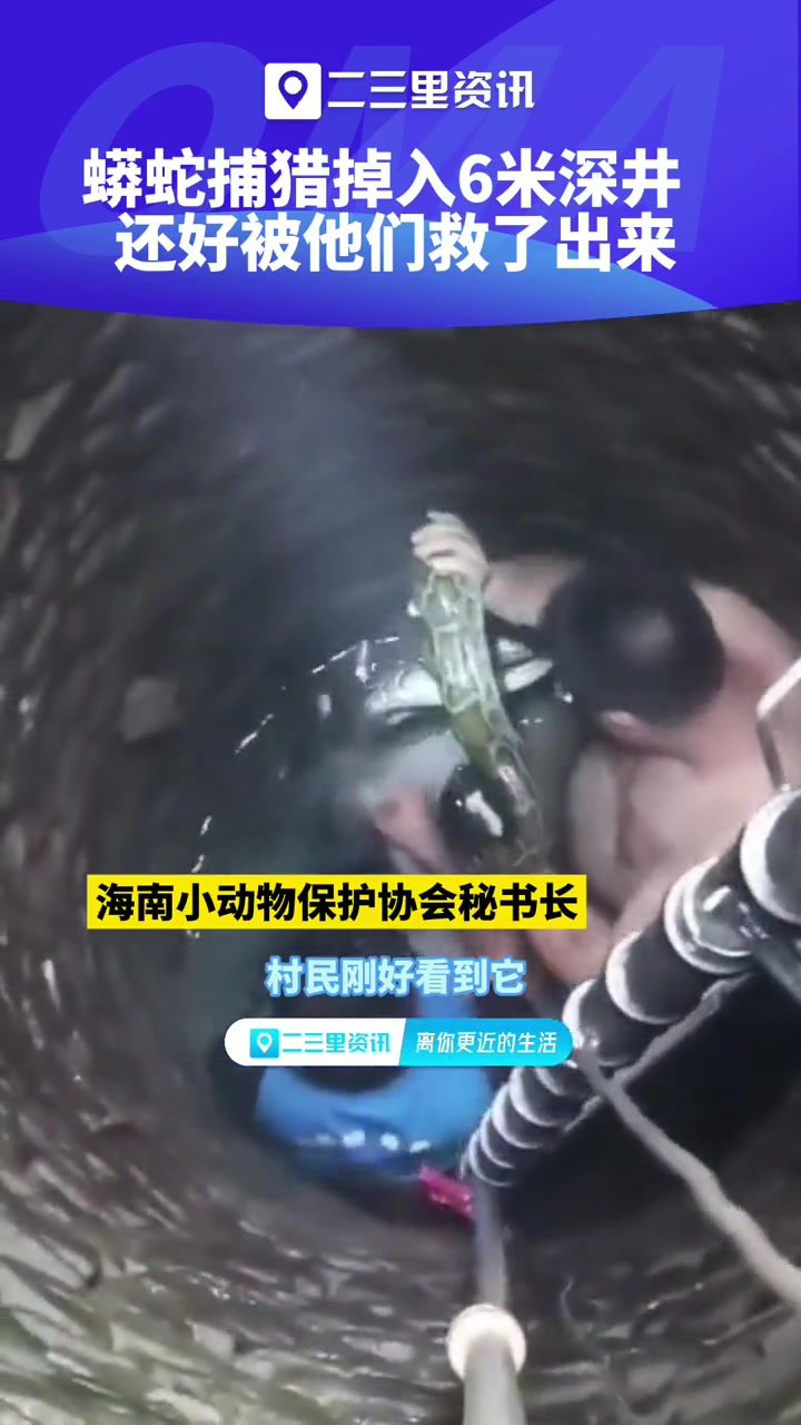 蟒蛇捕猎掉进6米深井 还好被他们救上来了 海南 蟒蛇
