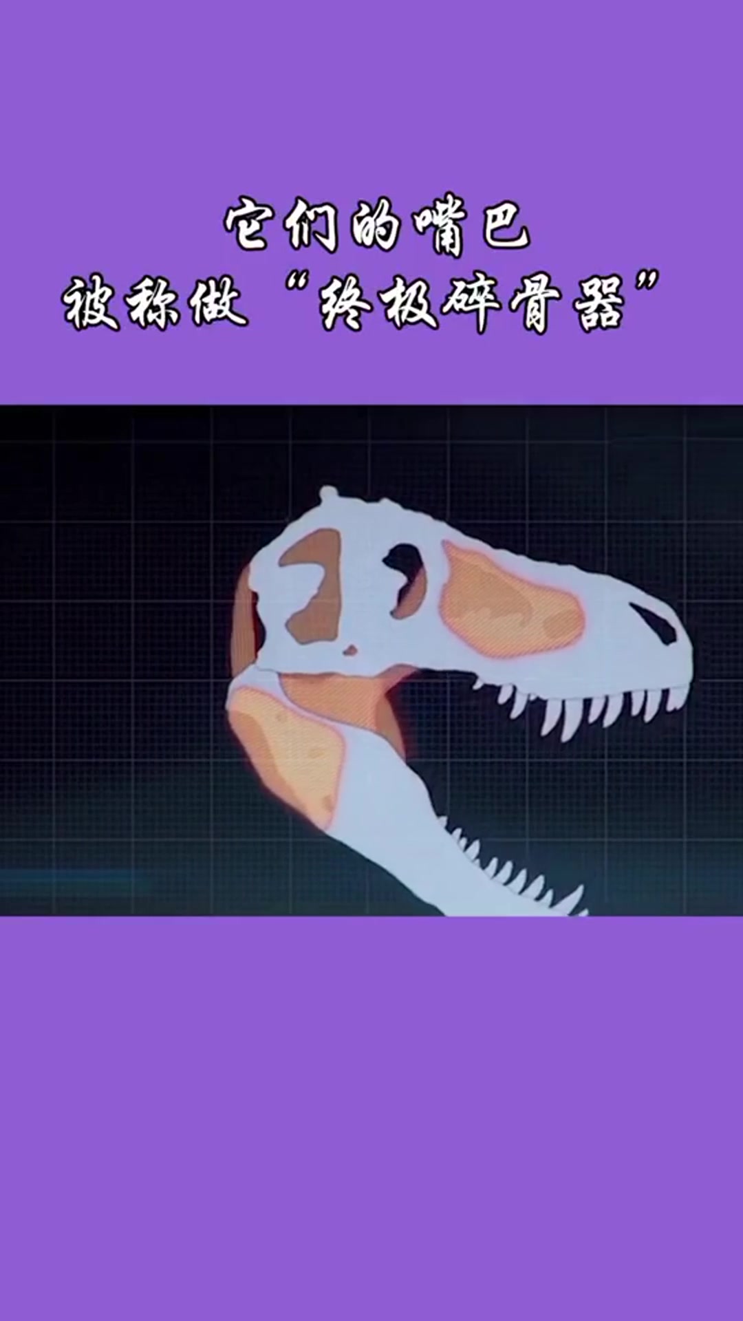 什么恐龙是最厉害的?