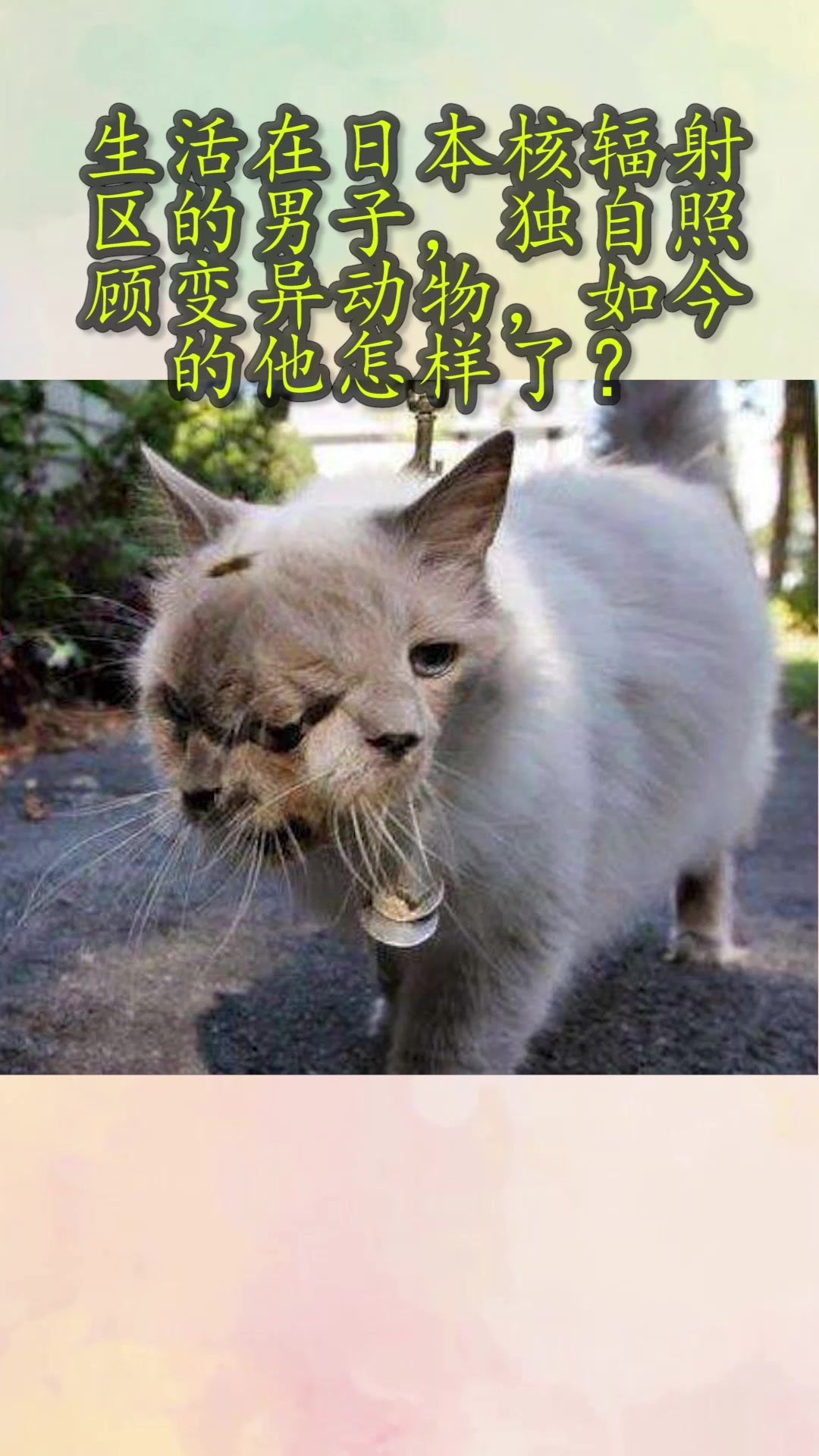 生活在日本核辐射区的男子,独自照顾变异动物,如今的他怎样了?