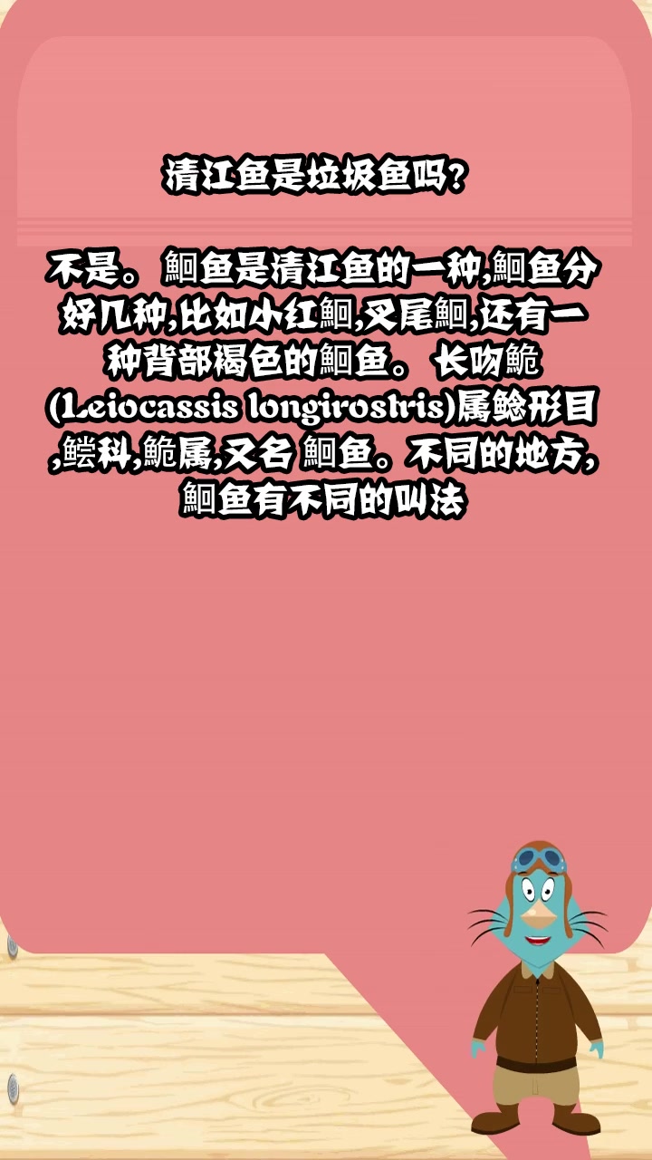 清江鱼是垃圾鱼吗?