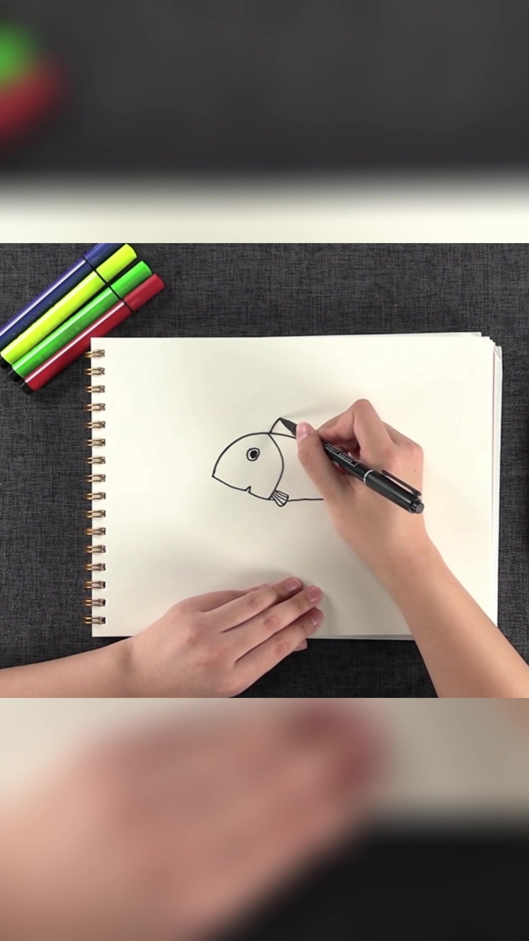 一起来学习鱼怎么画