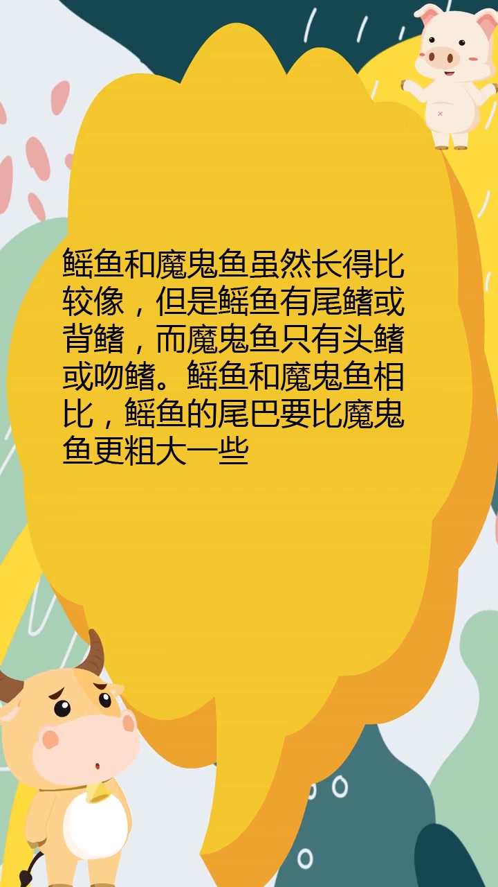 鳐鱼和魔鬼鱼的区别