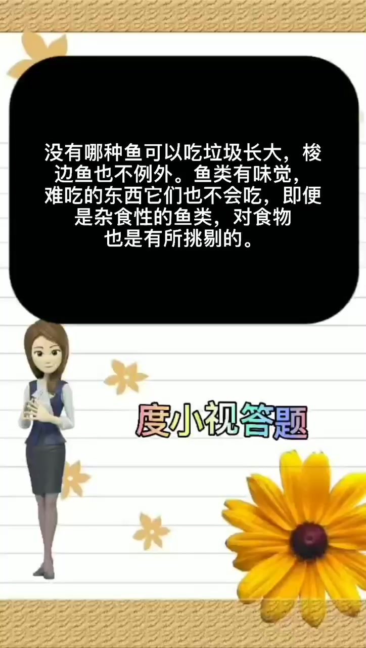 梭边鱼是不是吃垃圾长大的