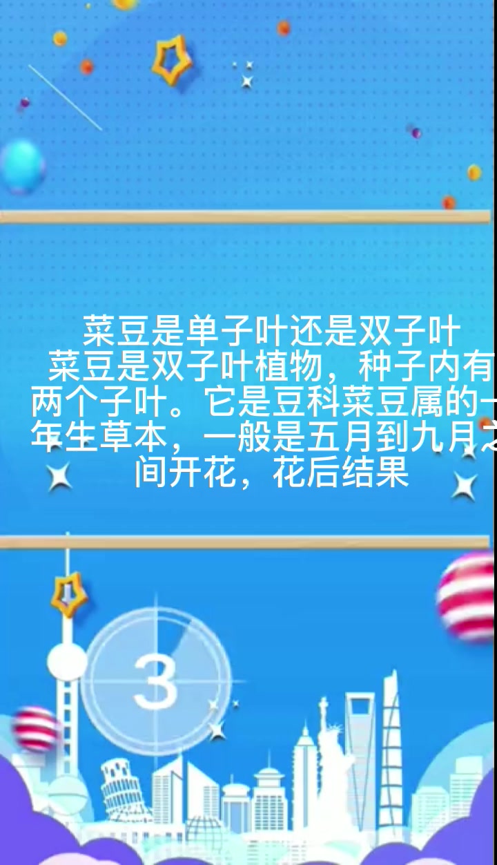 菜豆是单子叶还是双子叶