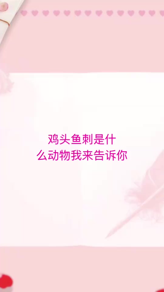 鸡头鱼刺是什么生肖