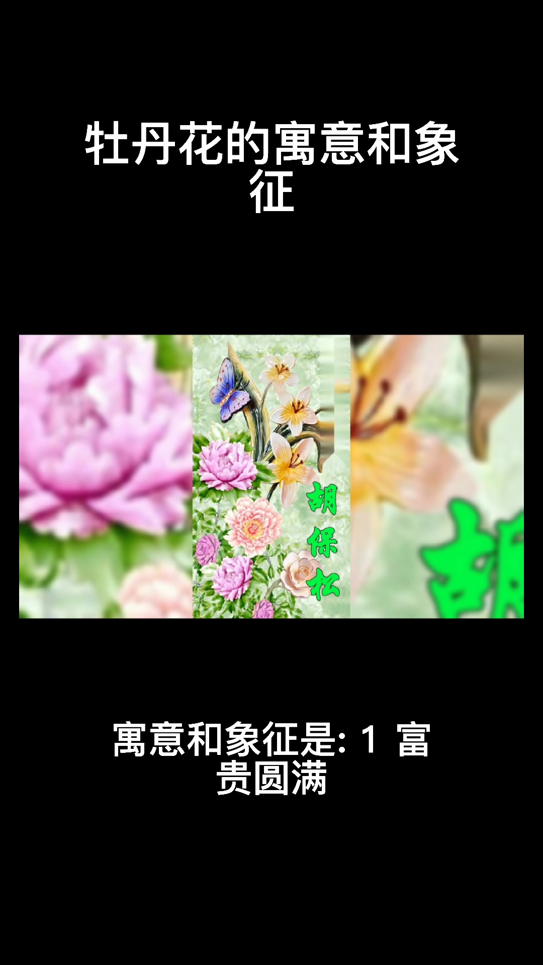 牡丹花的寓意和象征