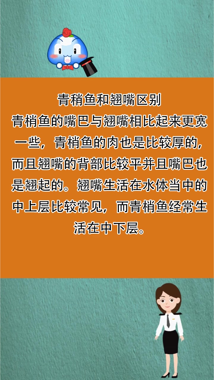 青稍鱼和翘嘴区别