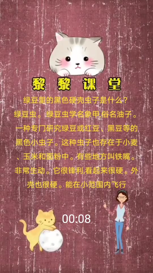 绿豆里的黑色硬壳虫子是什么