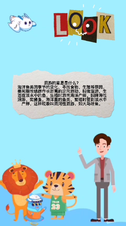 洄游的意思是什么