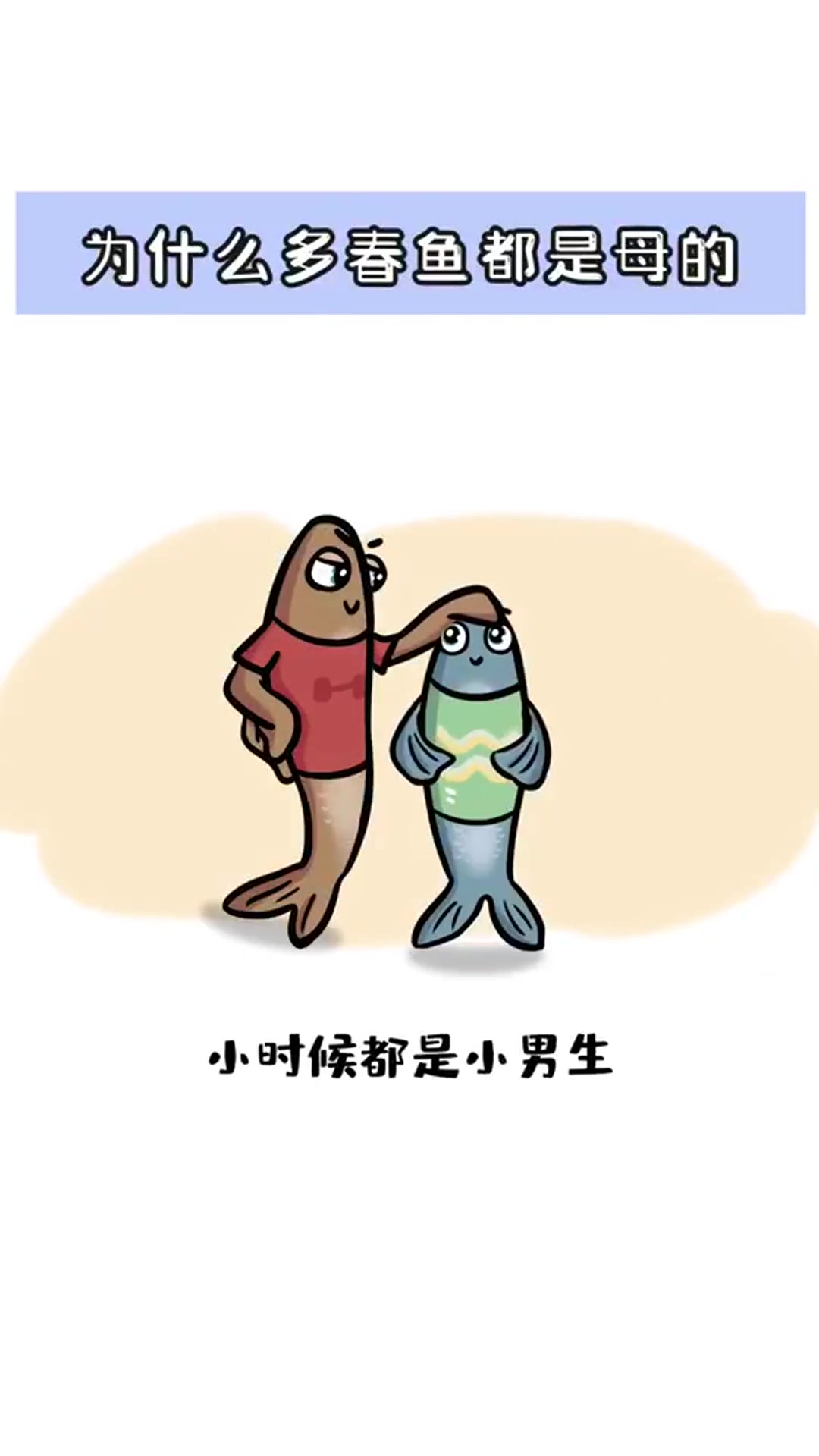 科普 - 为什么多春鱼都是母的
