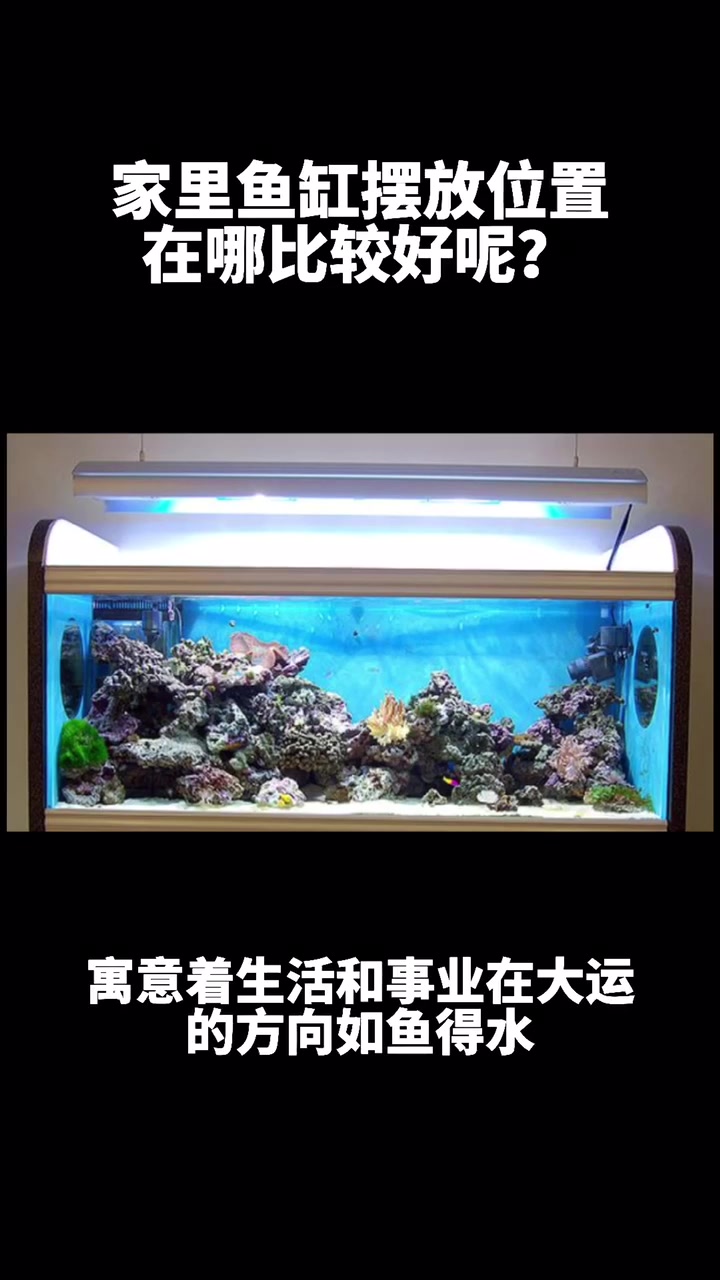 家里鱼缸摆放位置在哪比较好呢?