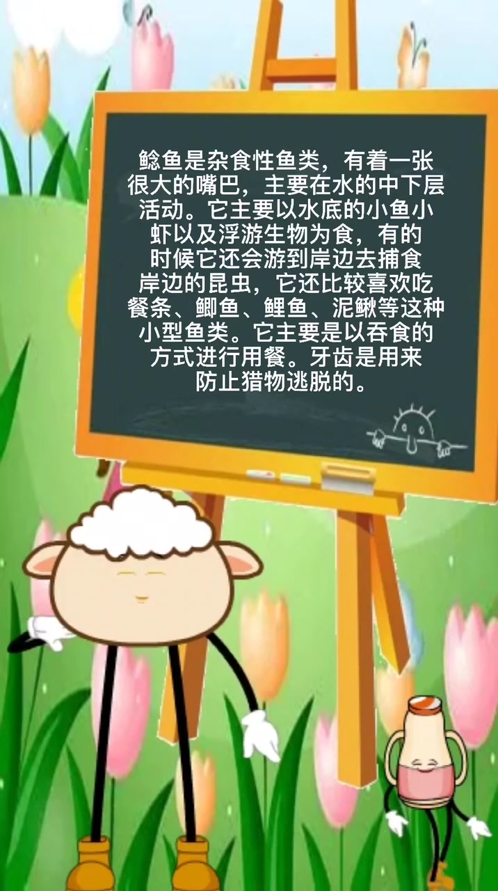 我来告诉你鲶鱼吃什么