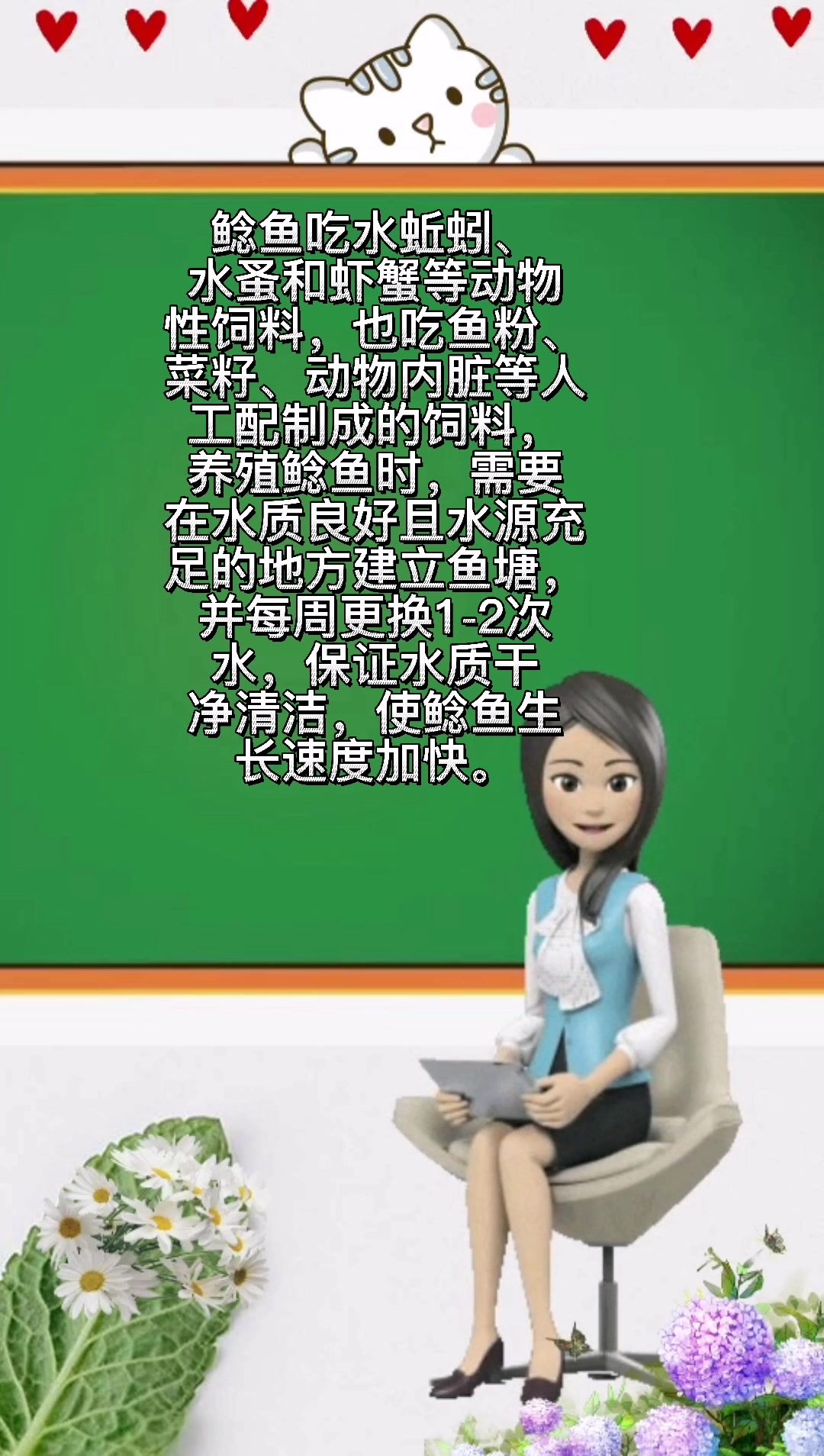 鲶鱼需要吃什么?