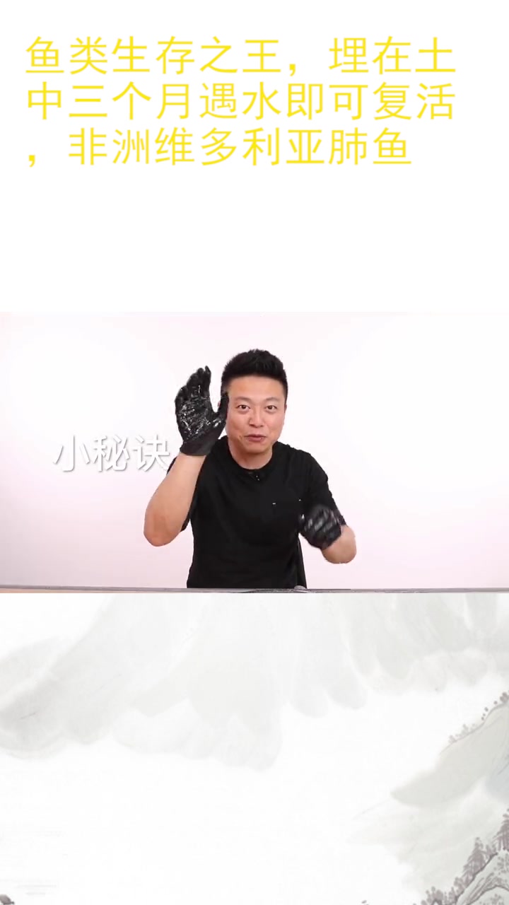 鱼类生存之王,埋在土中三个月遇水即可复活,非洲维多利亚肺鱼