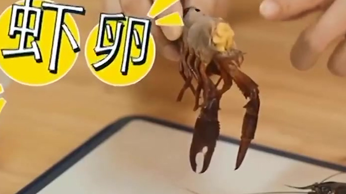 【食用死亡2小时以上小龙虾容易中毒】#生活点滴# 又到小龙虾最肥美的季节,几条吃虾小贴士送