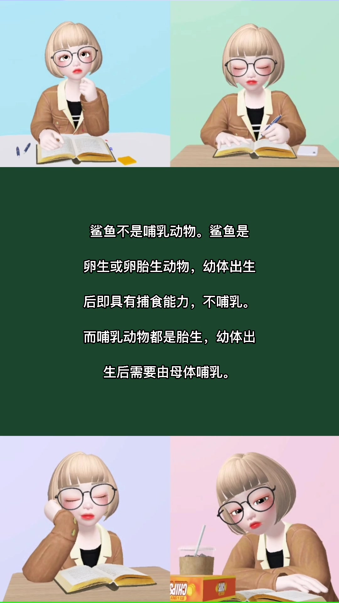 鲨鱼是哺乳动物吗?