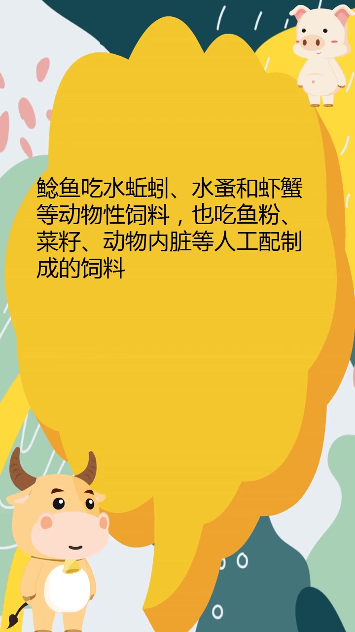 鲶鱼吃什么食物?