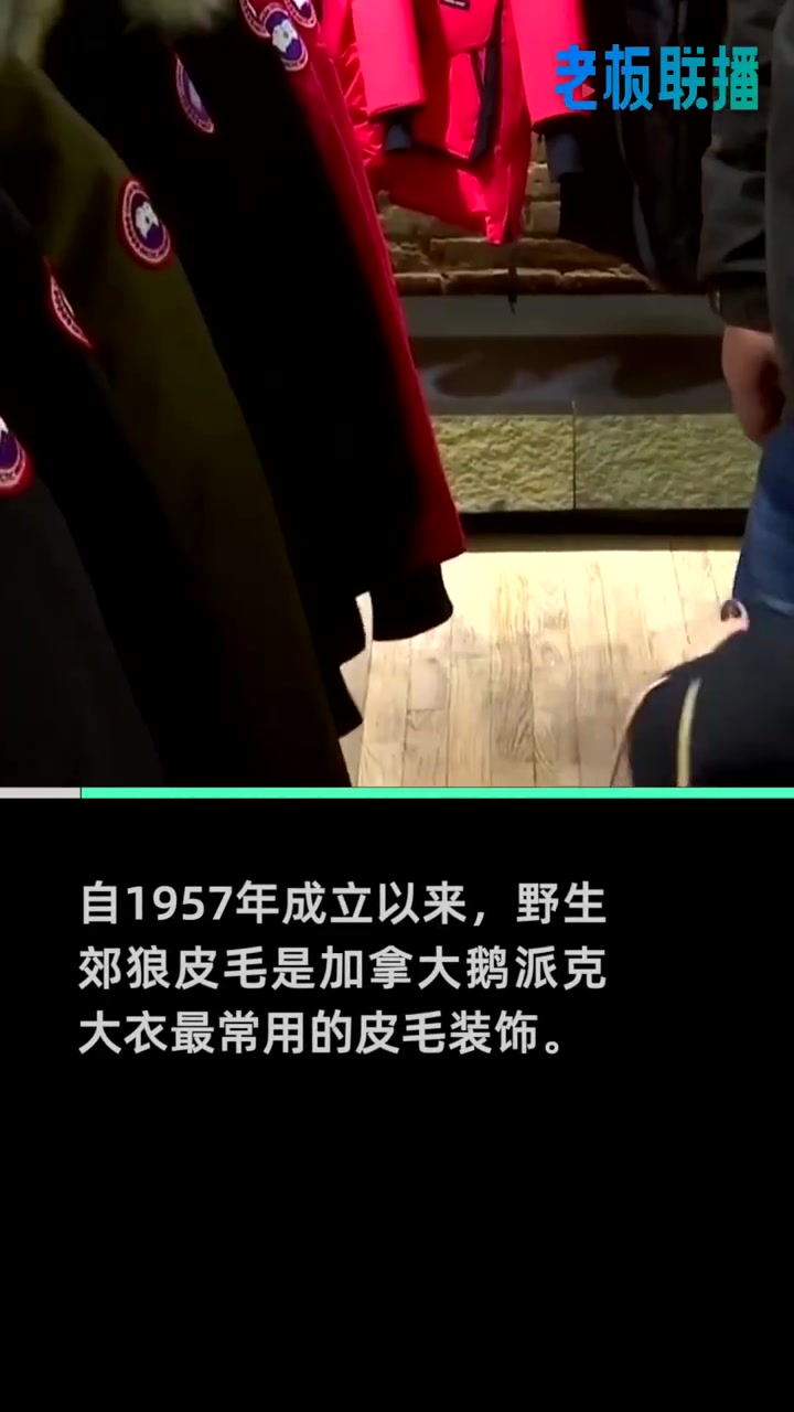 【加拿大鹅将弃用毛皮2022年底前停产,此前遭善待动物组织批评】奢侈羽绒品牌加拿大鹅近日宣