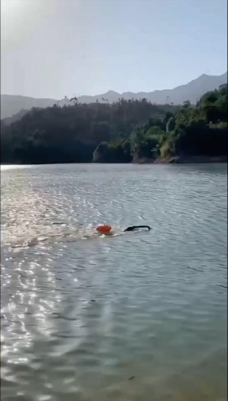 飞鱼乐仔游泳俱乐部