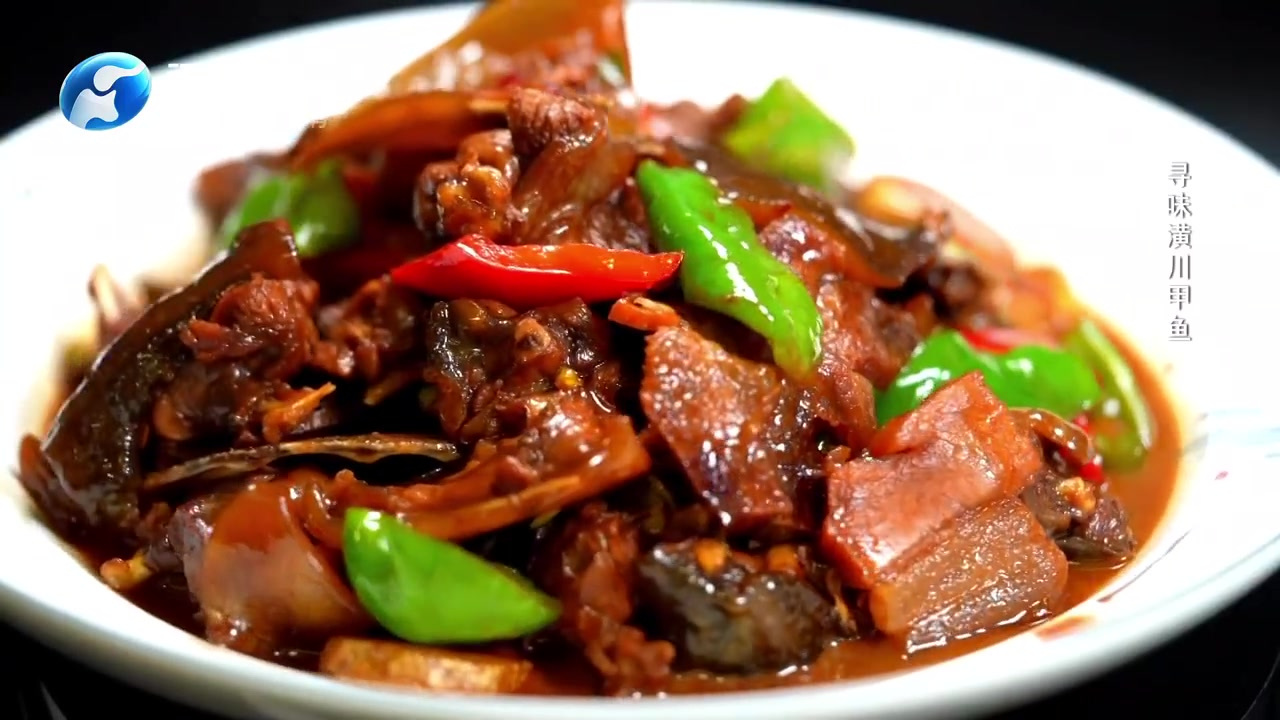 潢川甲鱼为何被称为美食五味肉 河南卫视《老家的味道》今天带你吃潢川甲鱼!甲鱼不仅具有食用价