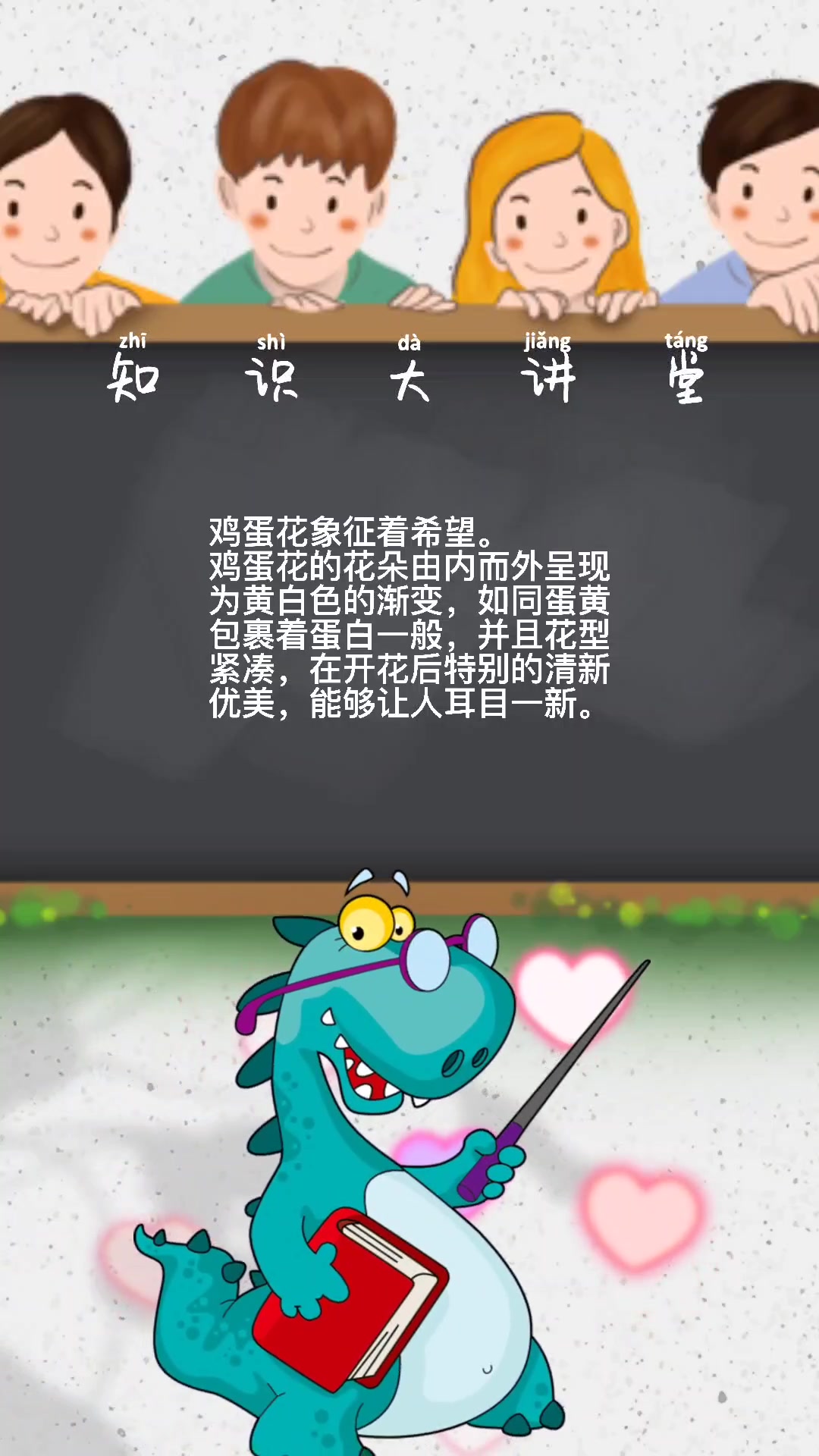 鸡蛋花象征着什么